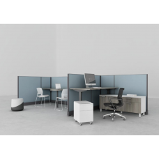 Friant Systems 2 Cubicle Workstation