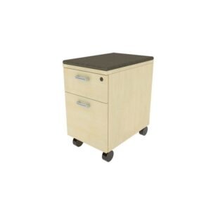 Mobile File Pedestal B