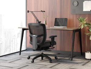 Friant MidZone Ergonomic Mesh Task Chair