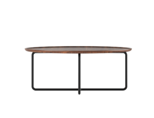 Friant Roke Coffee Table