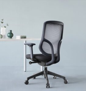 Friant Tango Flex-Adjust Ergonomic Mesh Task Chair